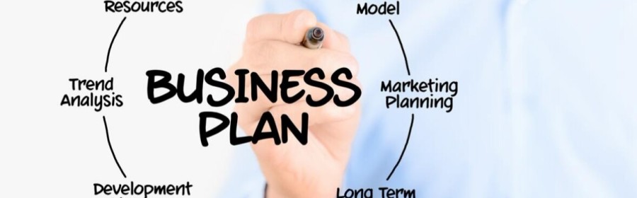 Business Plan Esempio per start-up e impresa commerciale