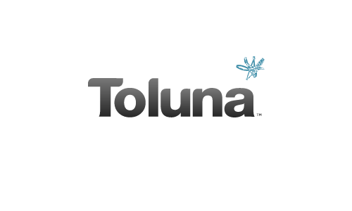 Recensione di Toluna